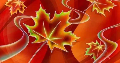 Приглашаем учащихся и учителей нашей школы 26 октября  на Осенний Бал