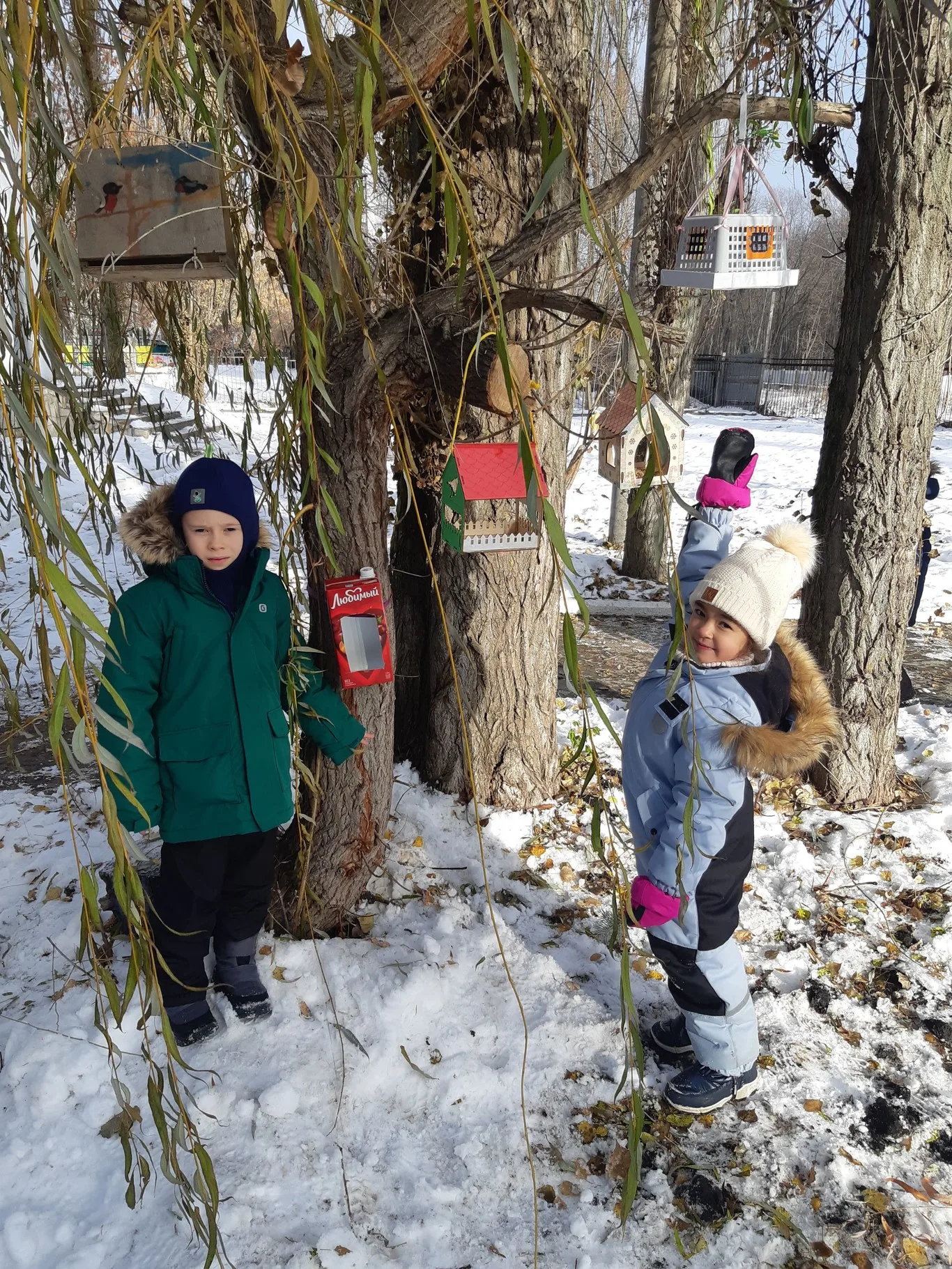 Синичкин день