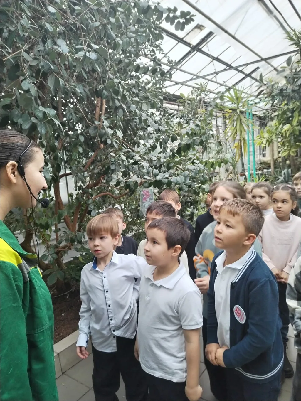 Витаминный оазис: Прогулка по Уфимскому лимонарию